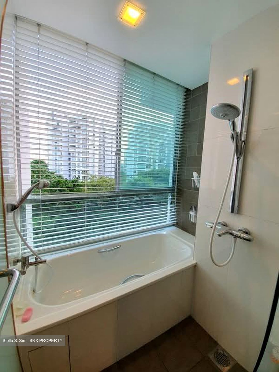 Botannia (D5), Condominium #558633751